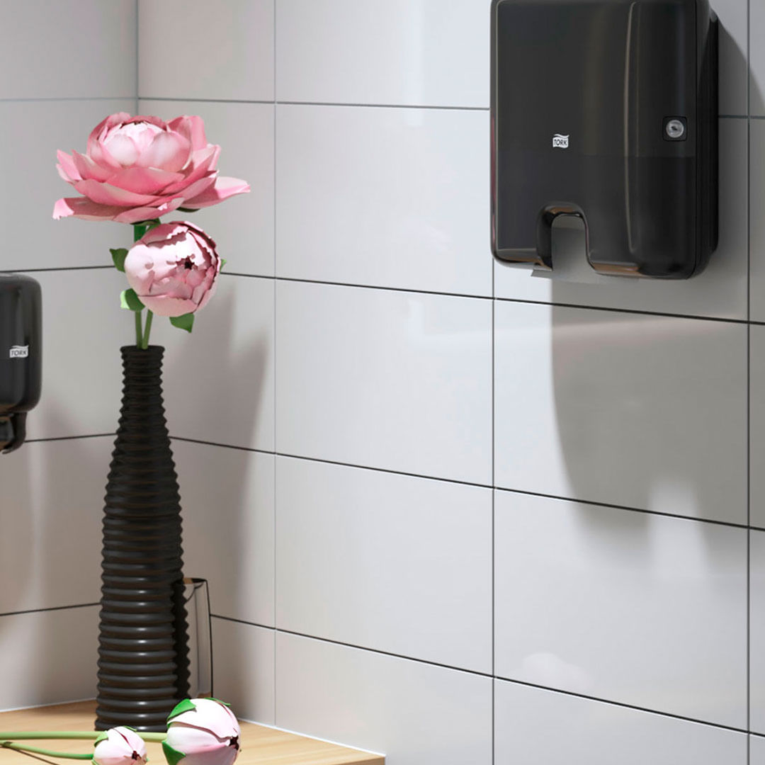 TORKDISPTOALHAINTERFMINI1SPRETOH2